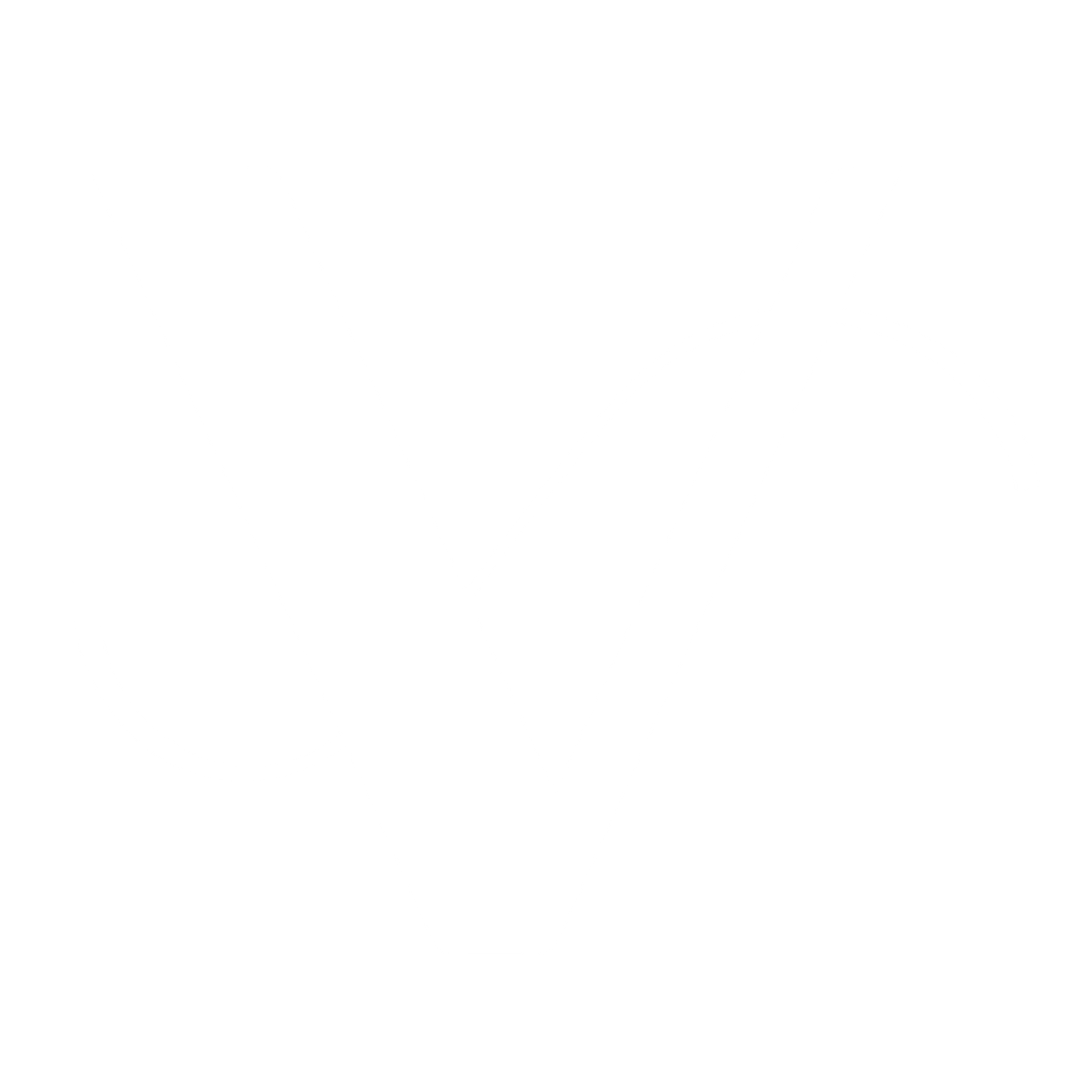 Visions-logo-white